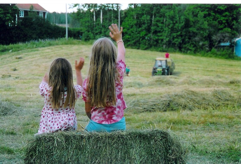 Årets sommarbild